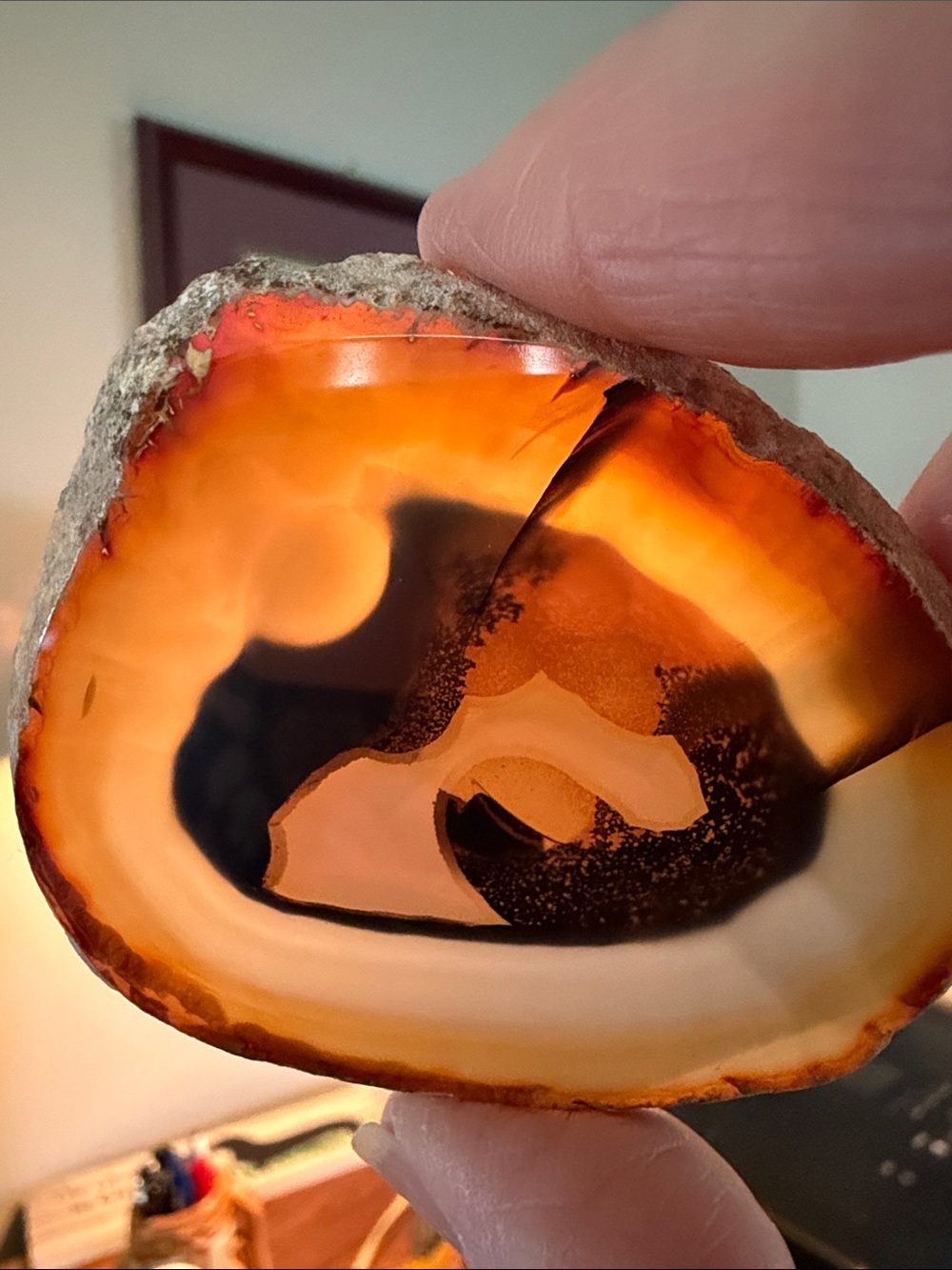 Polished Orange Agate Slice Featuring Concentric Color Layers